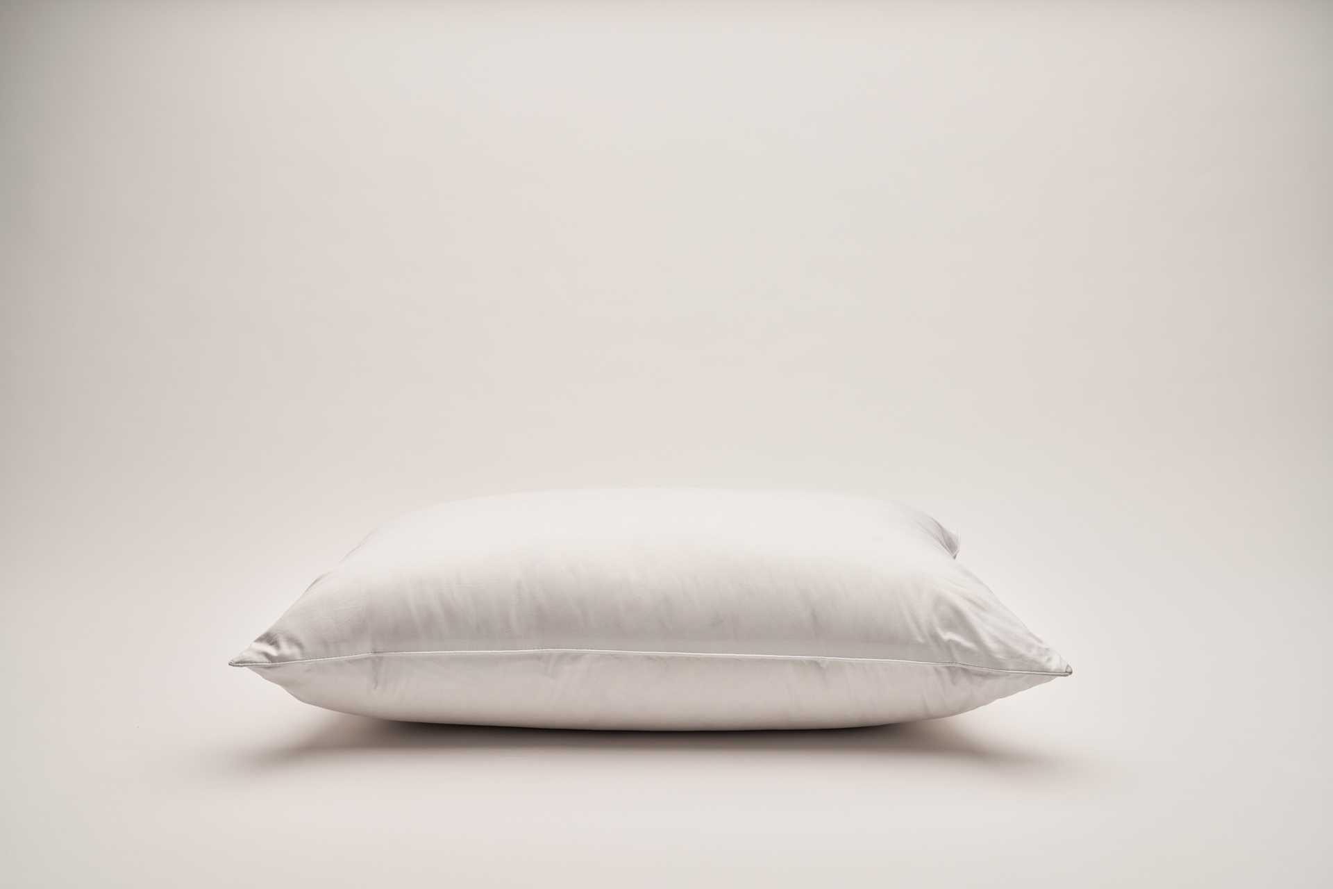 Hungarian Goose Down