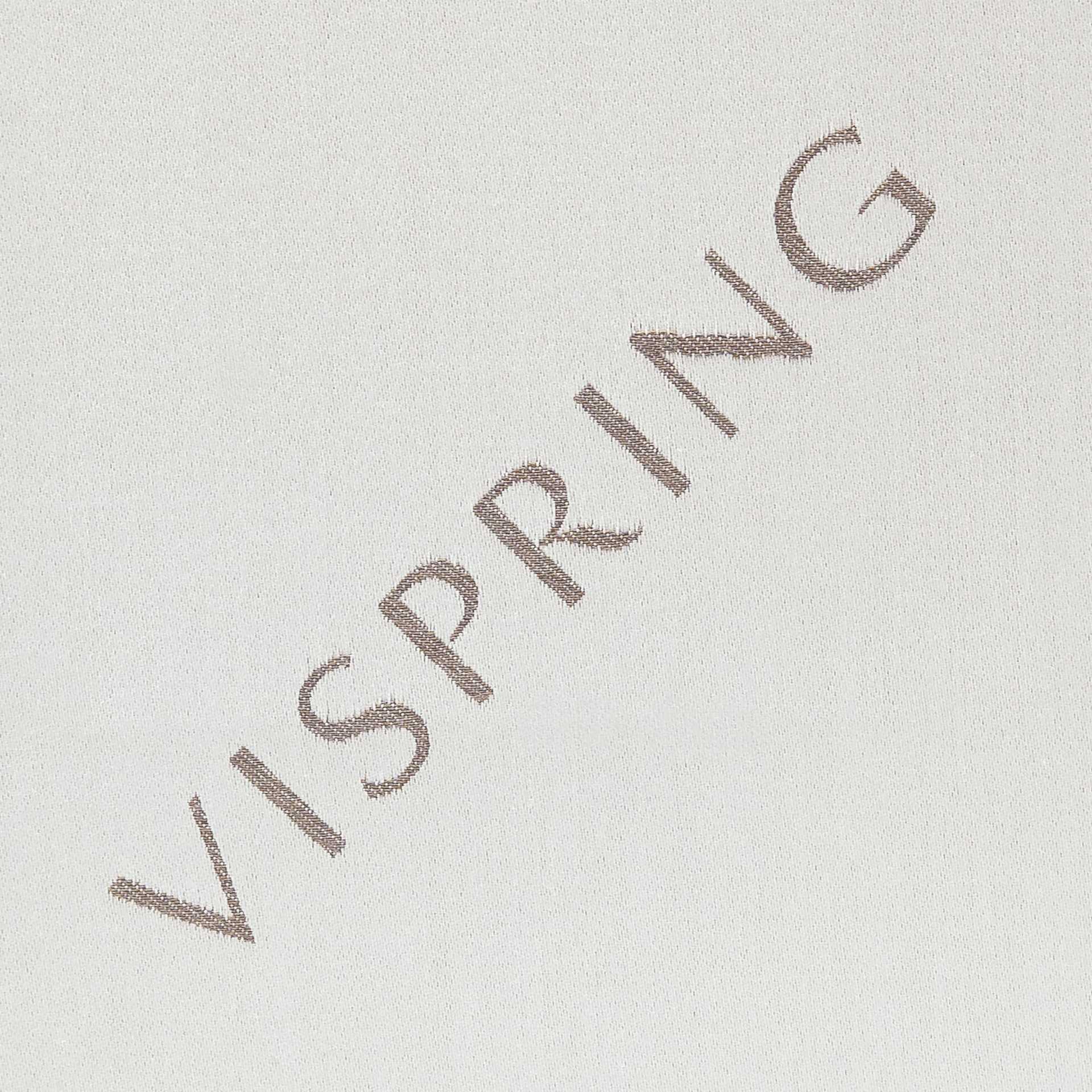 VISPRING LOGO - Pale Silver