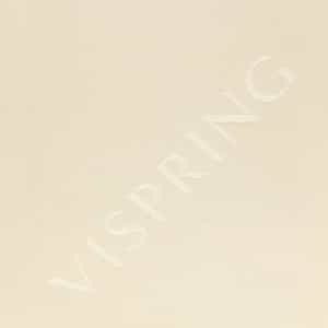VISPRING LOGO - Blush