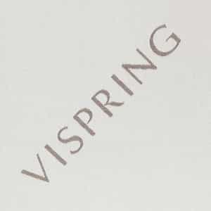 VISPRING LOGO - Pale Silver